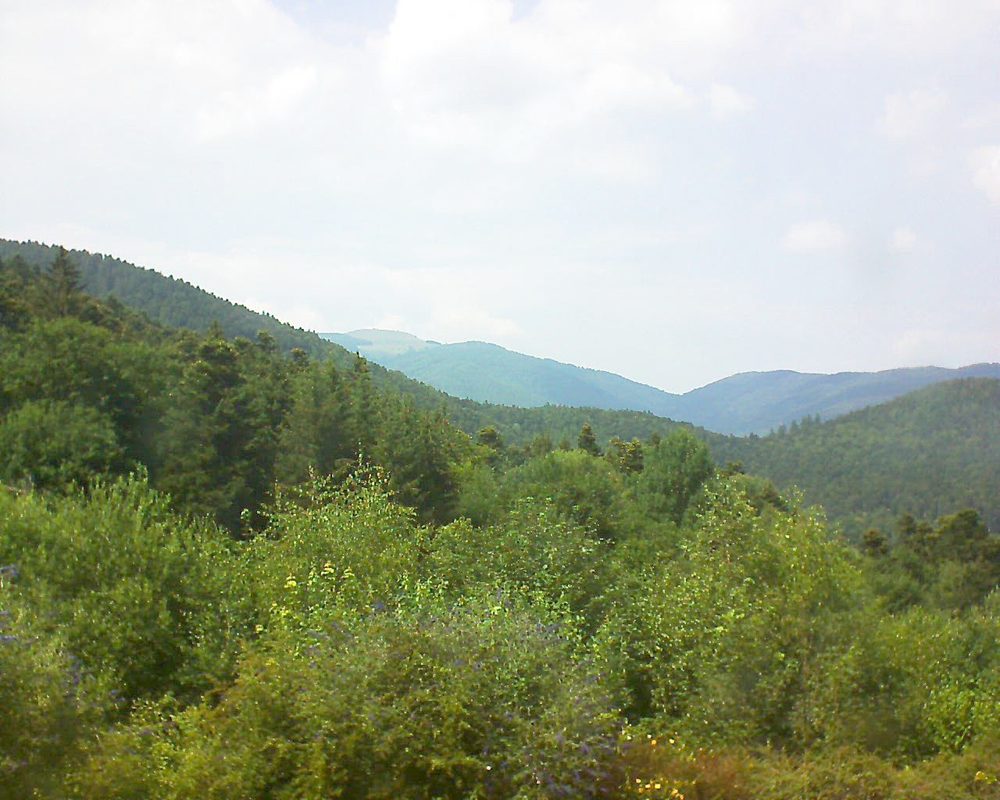 Le petit ballon vu depuis le Domaine Langmatt à Murbach le 07.07.2018 à 15:30 Le petit ballon (Alsace, Vosges) le 07.07.2018 à 15:30