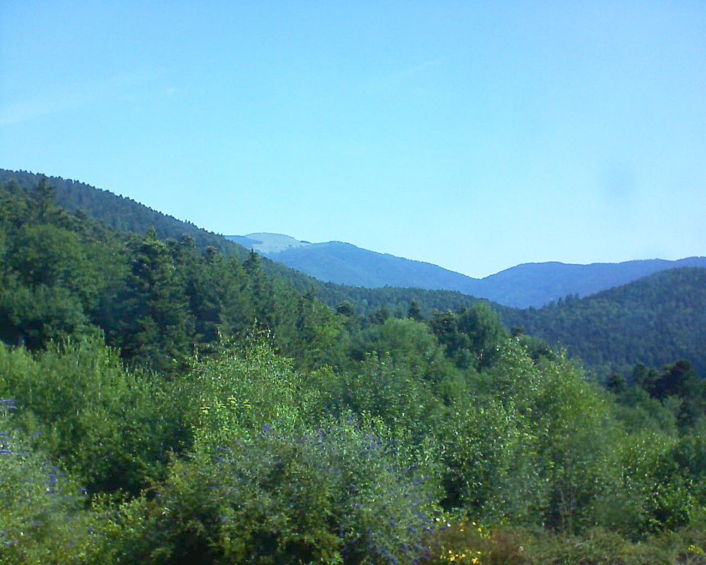 Le petit ballon vu depuis le Domaine Langmatt à Murbach le 08.07.2018 à 10:15 Le petit ballon (Alsace, Vosges) le 08.07.2018 à 10:15