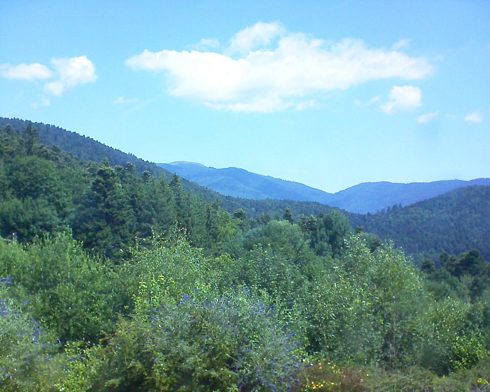 Le petit ballon vu depuis le Domaine Langmatt à Murbach le 08.07.2018 à 11:30 Le petit ballon (Alsace, Vosges) le 08.07.2018 à 11:30