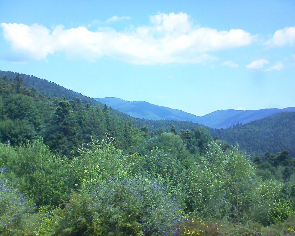 Le petit ballon vu depuis le Domaine Langmatt à Murbach le 08.07.2018 à 11:45 Le petit ballon (Alsace, Vosges) le 08.07.2018 à 11:45