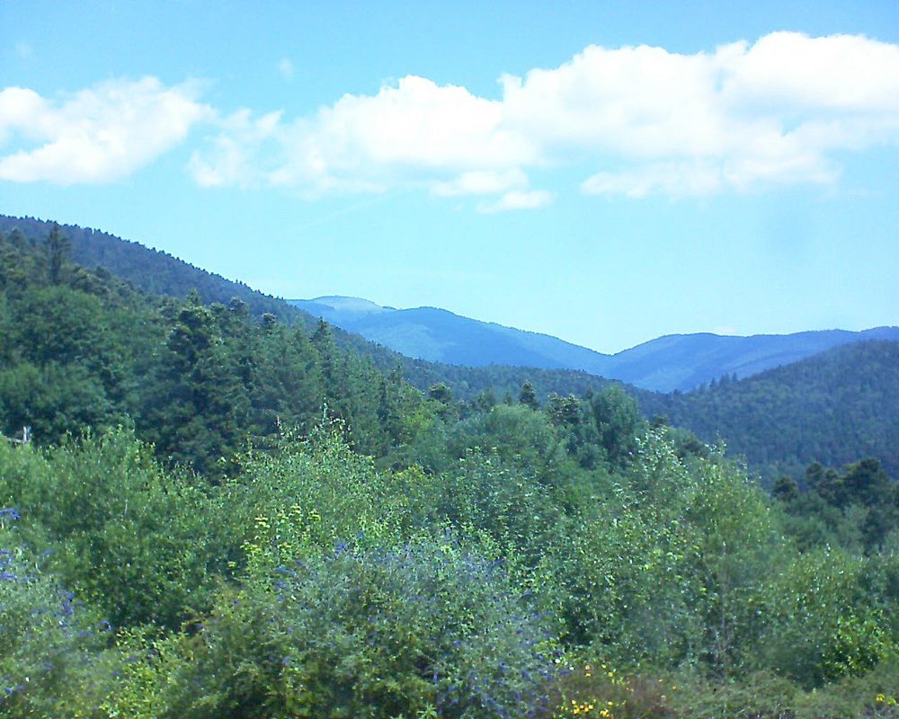 Le petit ballon vu depuis le Domaine Langmatt à Murbach le 08.07.2018 à 12:00 Le petit ballon (Alsace, Vosges) le 08.07.2018 à 12:00