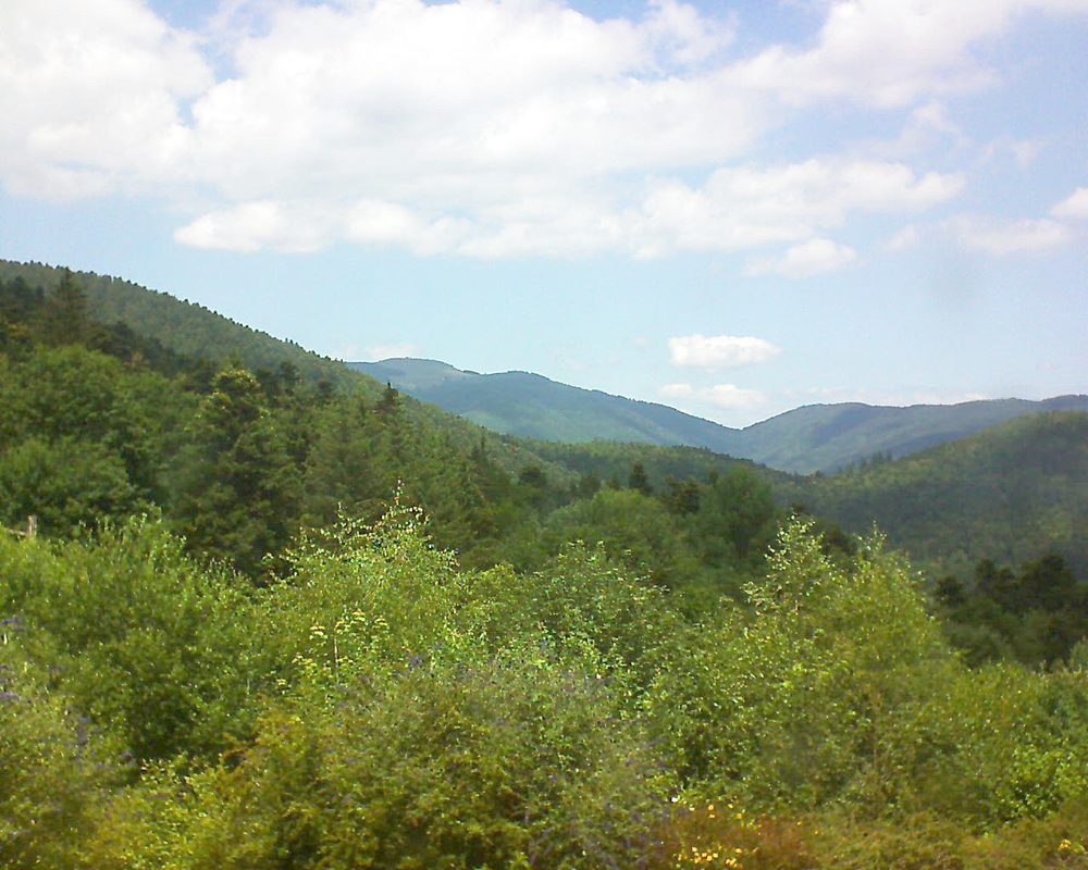 Le petit ballon vu depuis le Domaine Langmatt à Murbach le 08.07.2018 à 13:30 Le petit ballon (Alsace, Vosges) le 08.07.2018 à 13:30