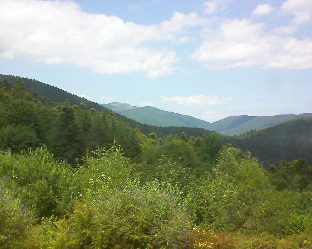 Le petit ballon vu depuis le Domaine Langmatt à Murbach le 08.07.2018 à 14:15 Le petit ballon (Alsace, Vosges) le 08.07.2018 à 14:15