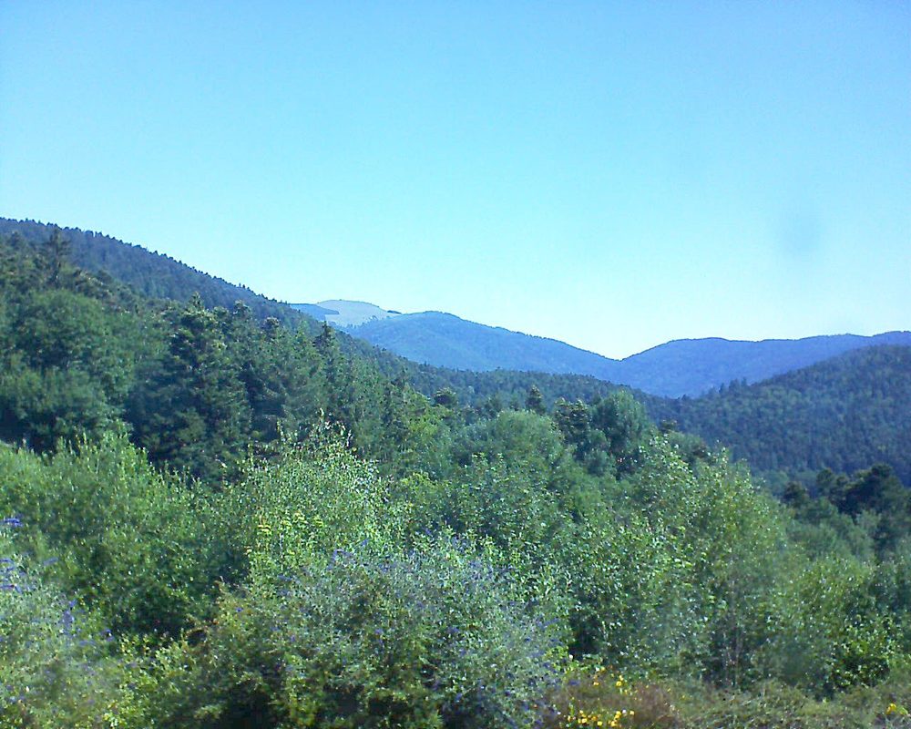 Le petit ballon vu depuis le Domaine Langmatt à Murbach le 09.07.2018 à 10:45 Le petit ballon (Alsace, Vosges) le 09.07.2018 à 10:45