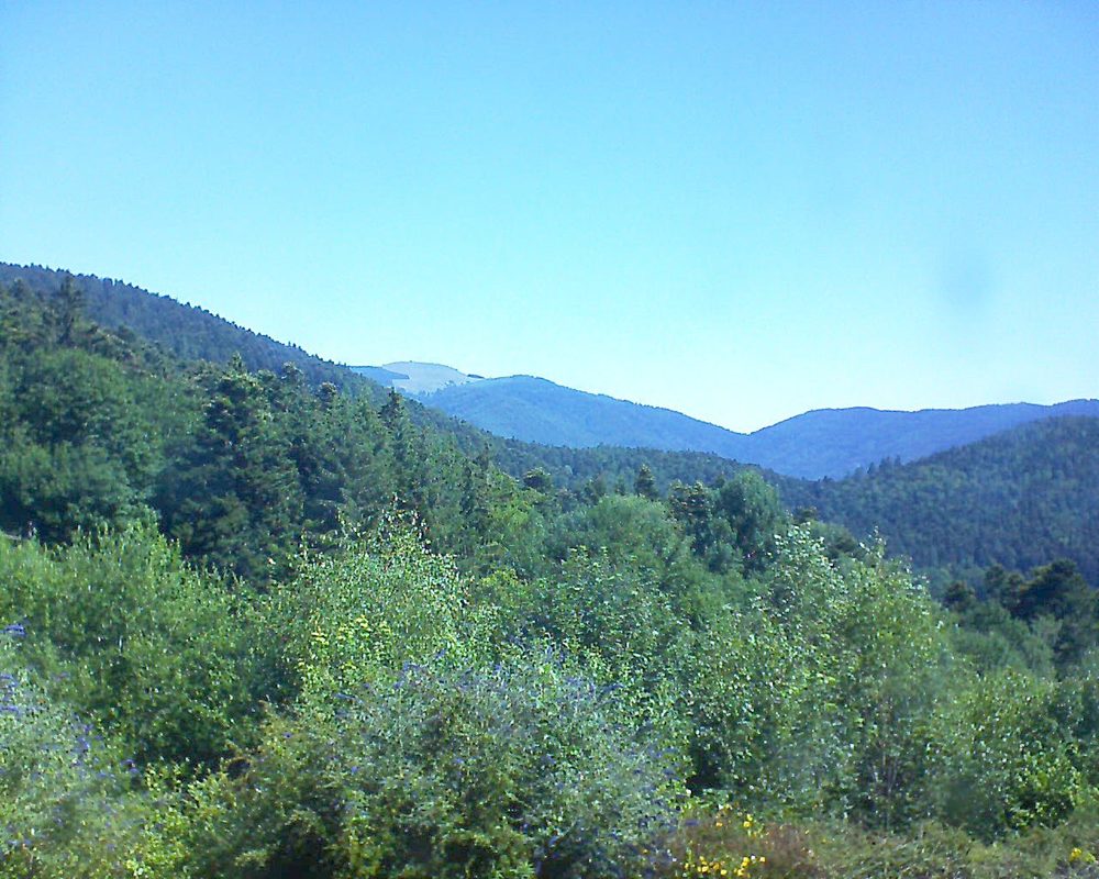 Le petit ballon vu depuis le Domaine Langmatt à Murbach le 09.07.2018 à 11:00 Le petit ballon (Alsace, Vosges) le 09.07.2018 à 11:00