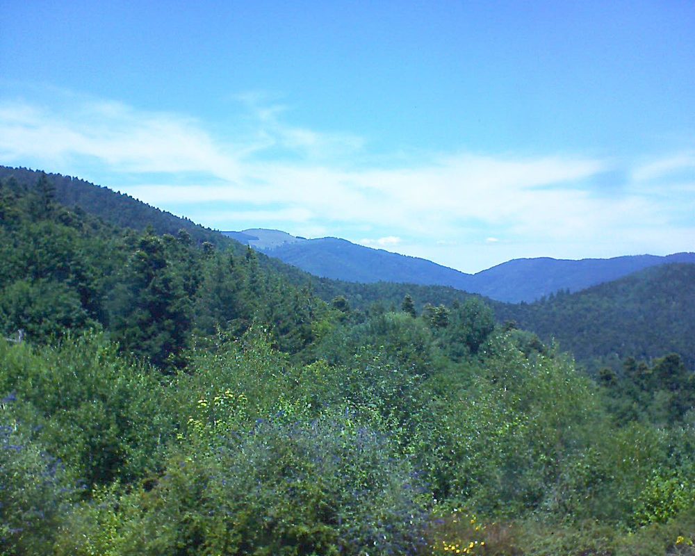 Le petit ballon vu depuis le Domaine Langmatt à Murbach le 09.07.2018 à 14:00 Le petit ballon (Alsace, Vosges) le 09.07.2018 à 14:00