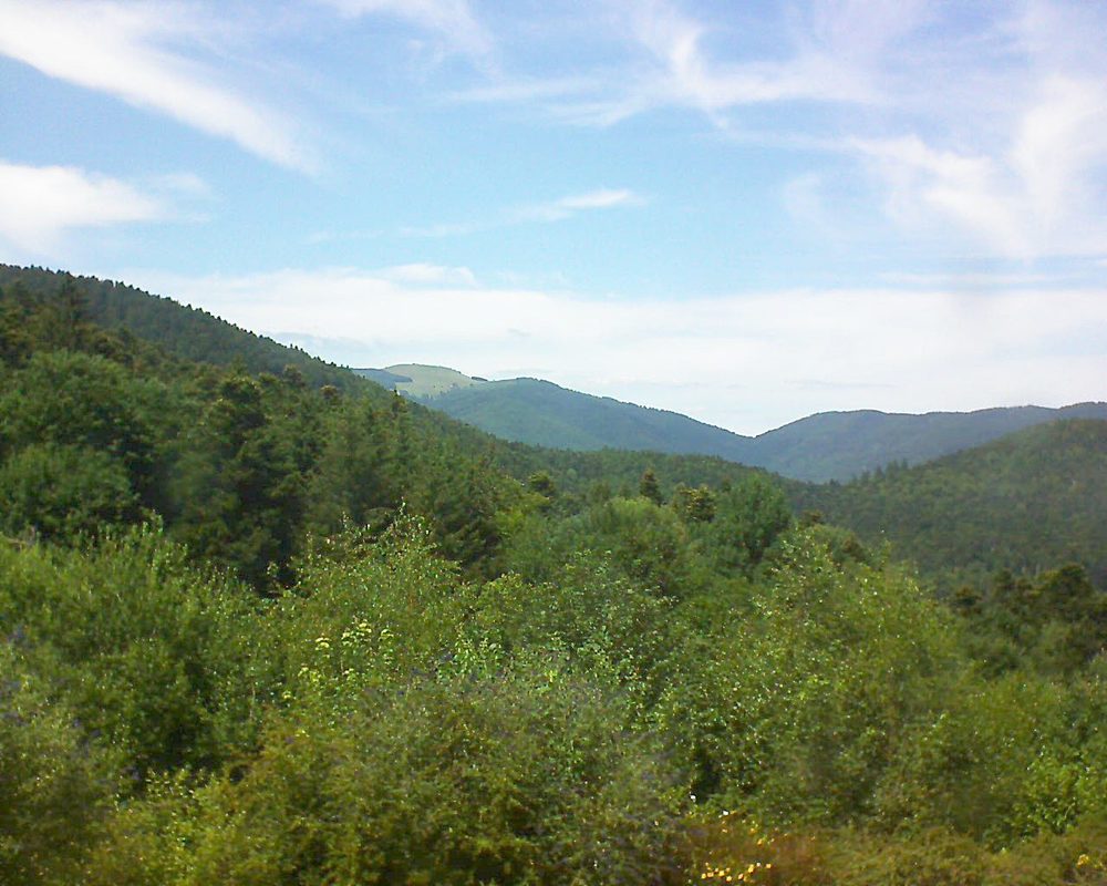 Le petit ballon vu depuis le Domaine Langmatt à Murbach le 09.07.2018 à 14:45 Le petit ballon (Alsace, Vosges) le 09.07.2018 à 14:45