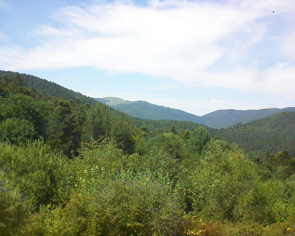 Le petit ballon vu depuis le Domaine Langmatt à Murbach le 09.07.2018 à 15:30 Le petit ballon (Alsace, Vosges) le 09.07.2018 à 15:30