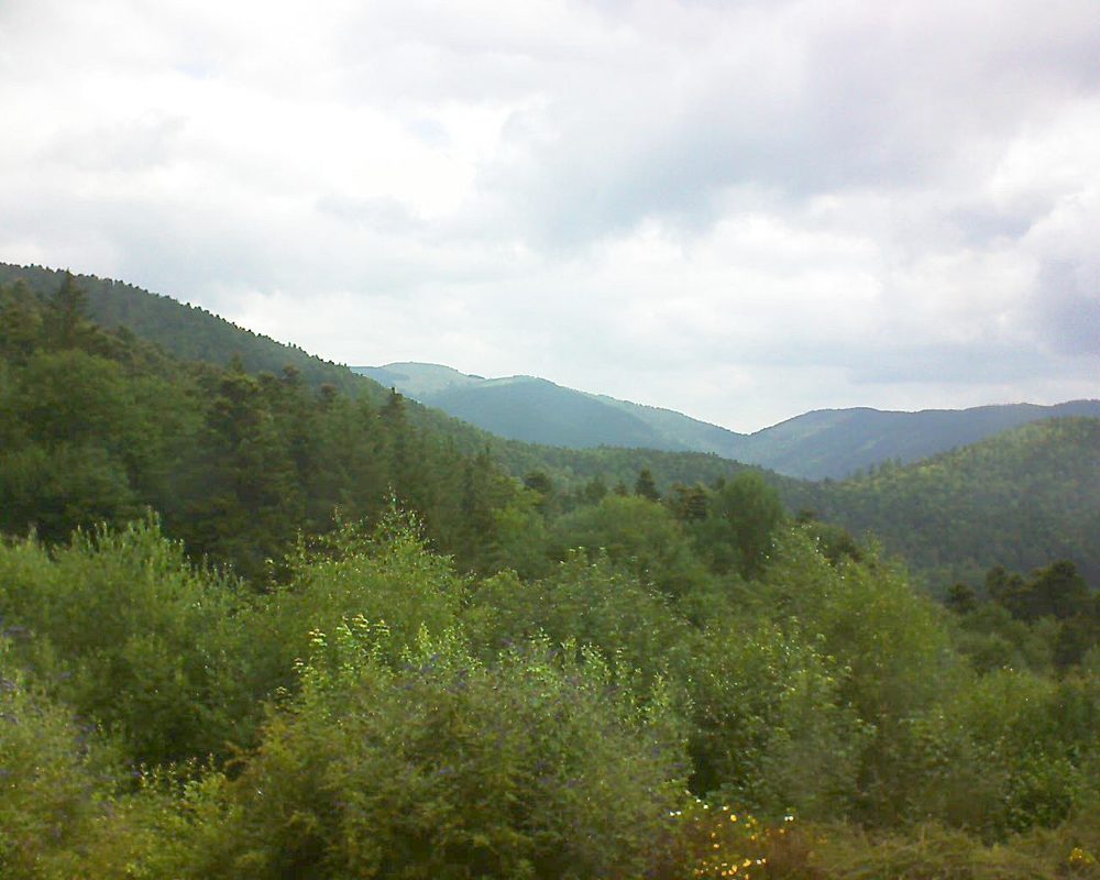 Le petit ballon vu depuis le Domaine Langmatt à Murbach le 11.07.2018 à 10:45 Le petit ballon (Alsace, Vosges) le 11.07.2018 à 10:45