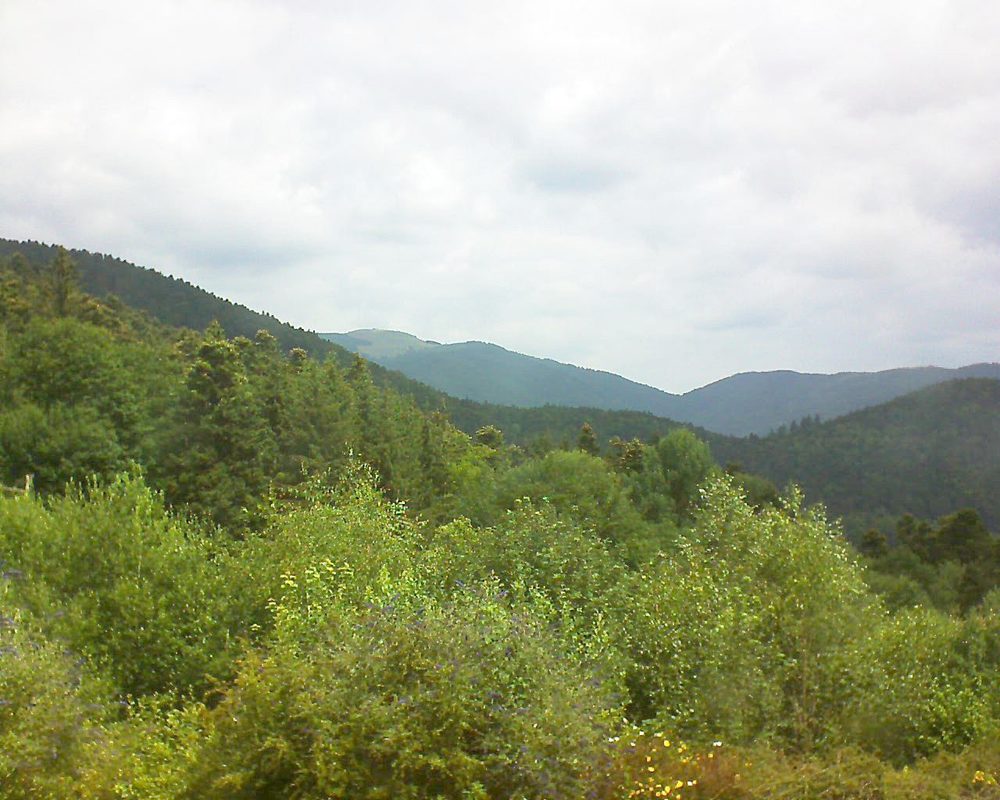 Le petit ballon vu depuis le Domaine Langmatt à Murbach le 11.07.2018 à 12:00 Le petit ballon (Alsace, Vosges) le 11.07.2018 à 12:00