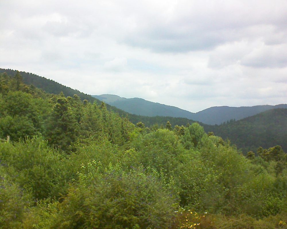Le petit ballon vu depuis le Domaine Langmatt à Murbach le 11.07.2018 à 12:45 Le petit ballon (Alsace, Vosges) le 11.07.2018 à 12:45