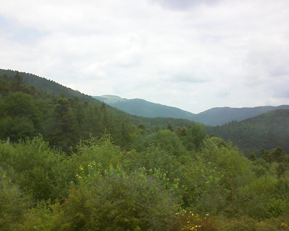 Le petit ballon vu depuis le Domaine Langmatt à Murbach le 11.07.2018 à 13:00 Le petit ballon (Alsace, Vosges) le 11.07.2018 à 13:00