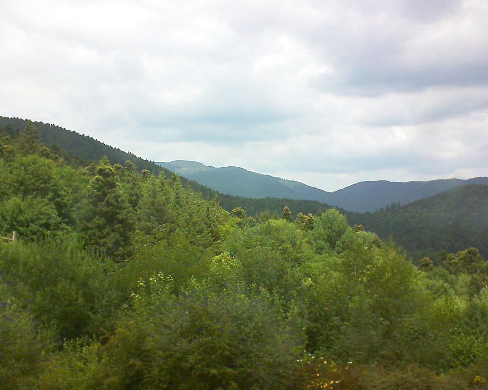 Le petit ballon vu depuis le Domaine Langmatt à Murbach le 11.07.2018 à 13:45 Le petit ballon (Alsace, Vosges) le 11.07.2018 à 13:45
