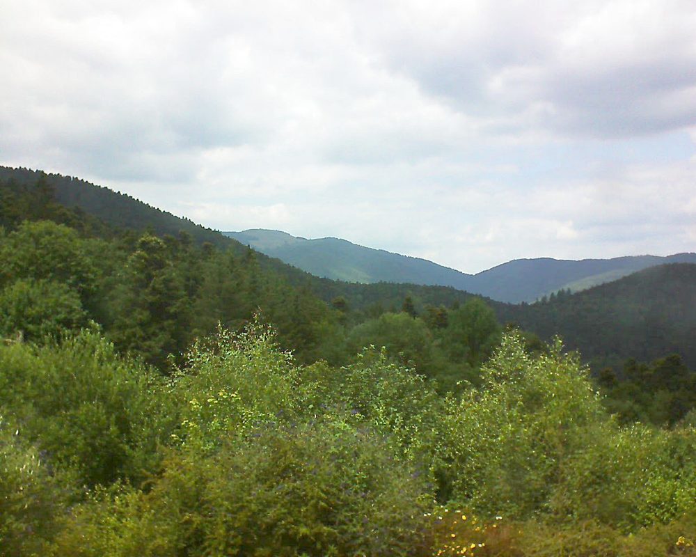 Le petit ballon vu depuis le Domaine Langmatt à Murbach le 11.07.2018 à 14:30 Le petit ballon (Alsace, Vosges) le 11.07.2018 à 14:30