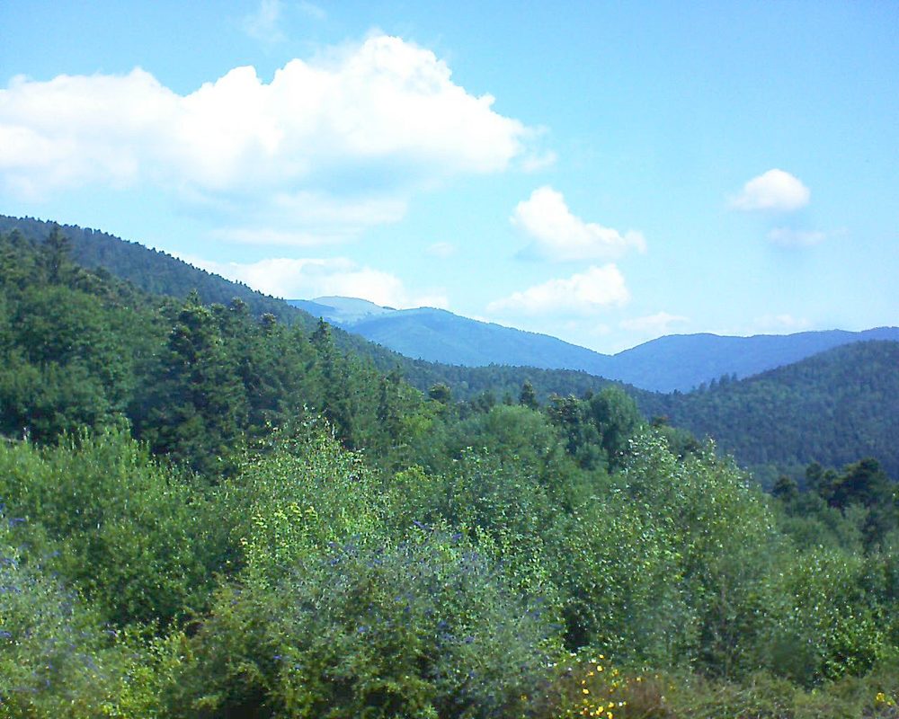 Le petit ballon vu depuis le Domaine Langmatt à Murbach le 12.07.2018 à 11:15 Le petit ballon (Alsace, Vosges) le 12.07.2018 à 11:15