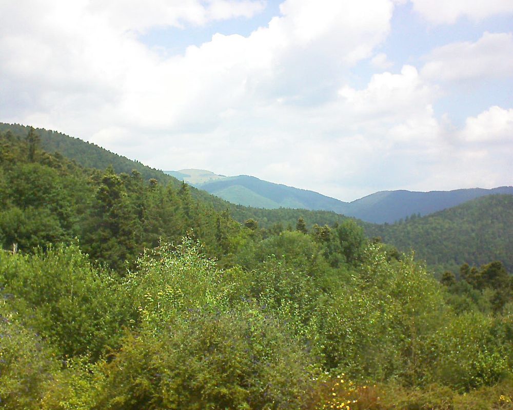 Le petit ballon vu depuis le Domaine Langmatt à Murbach le 12.07.2018 à 12:15 Le petit ballon (Alsace, Vosges) le 12.07.2018 à 12:15