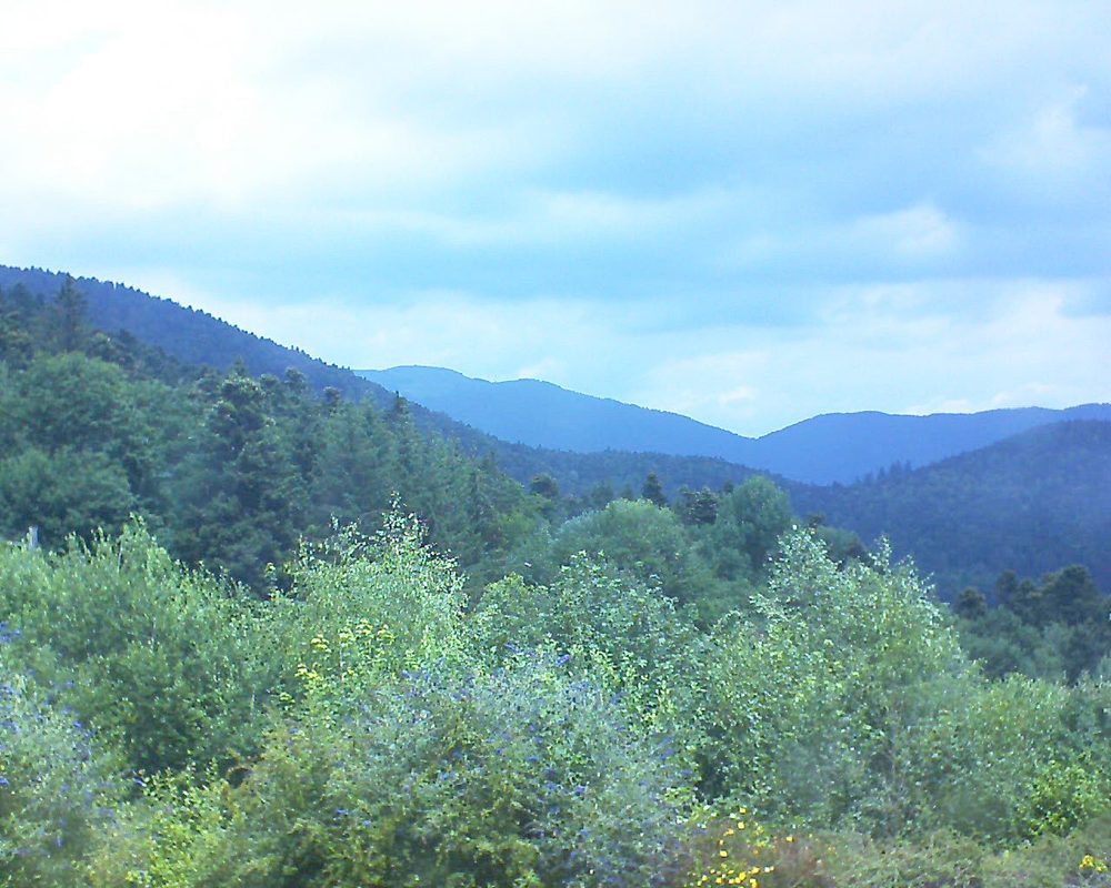 Le petit ballon vu depuis le Domaine Langmatt à Murbach le 12.07.2018 à 13:00 Le petit ballon (Alsace, Vosges) le 12.07.2018 à 13:00
