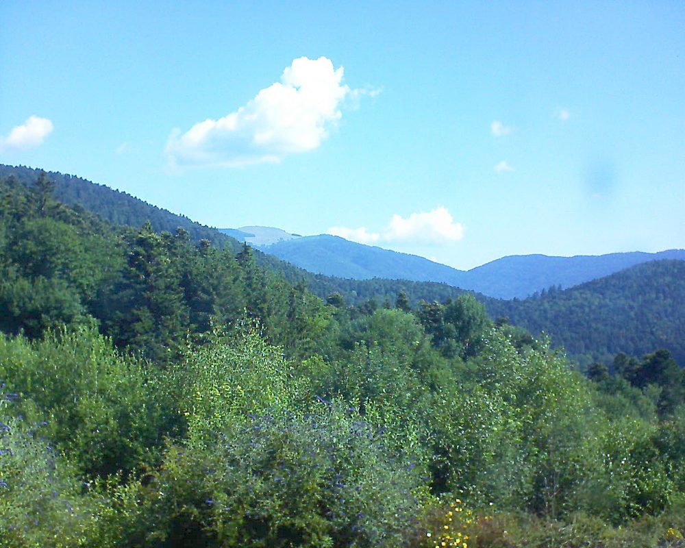 Le petit ballon vu depuis le Domaine Langmatt à Murbach le 13.07.2018 à 10:15 Le petit ballon (Alsace, Vosges) le 13.07.2018 à 10:15