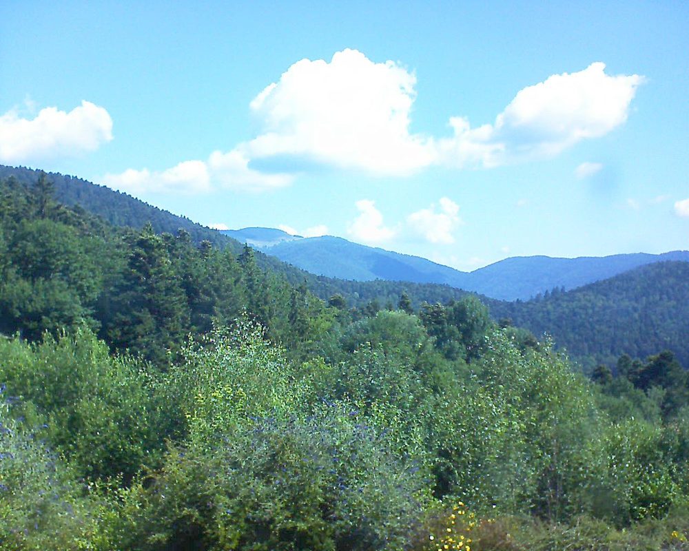 Le petit ballon vu depuis le Domaine Langmatt à Murbach le 13.07.2018 à 10:45 Le petit ballon (Alsace, Vosges) le 13.07.2018 à 10:45