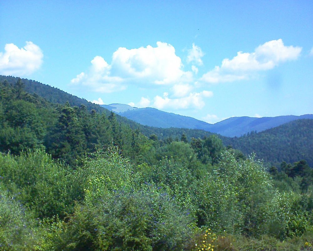 Le petit ballon vu depuis le Domaine Langmatt à Murbach le 13.07.2018 à 11:00 Le petit ballon (Alsace, Vosges) le 13.07.2018 à 11:00
