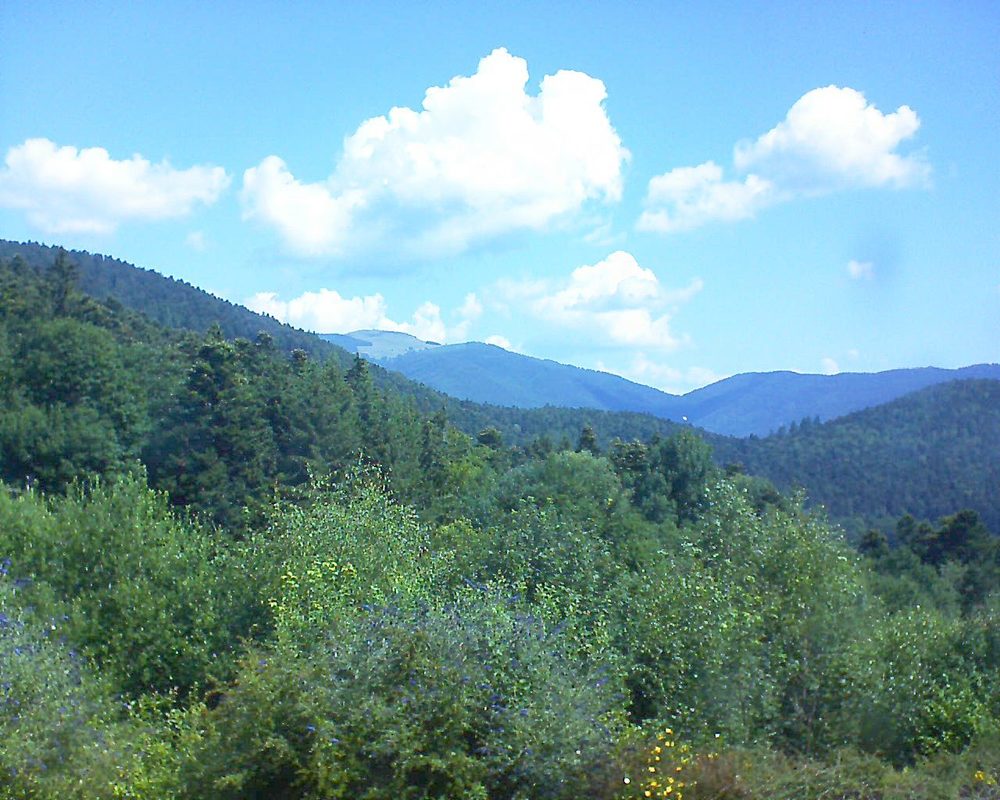 Le petit ballon vu depuis le Domaine Langmatt à Murbach le 13.07.2018 à 11:15 Le petit ballon (Alsace, Vosges) le 13.07.2018 à 11:15
