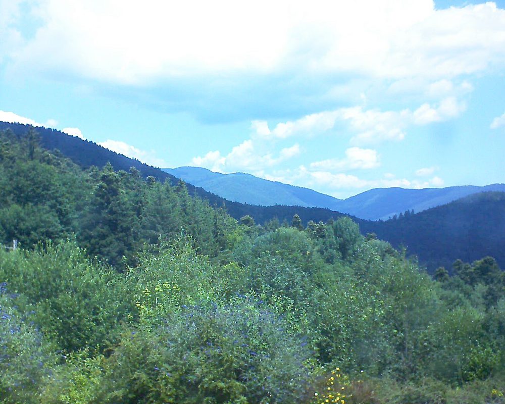Le petit ballon vu depuis le Domaine Langmatt à Murbach le 13.07.2018 à 12:30 Le petit ballon (Alsace, Vosges) le 13.07.2018 à 12:30