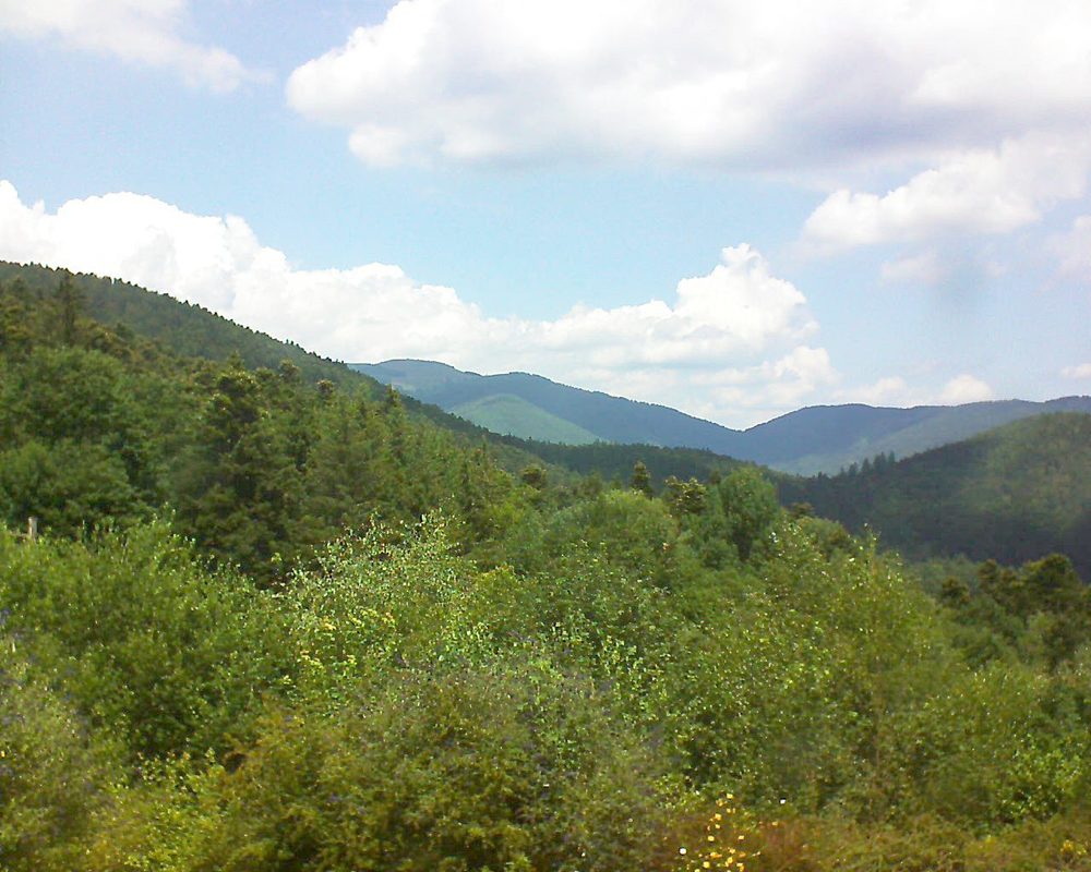Le petit ballon vu depuis le Domaine Langmatt à Murbach le 13.07.2018 à 13:00 Le petit ballon (Alsace, Vosges) le 13.07.2018 à 13:00