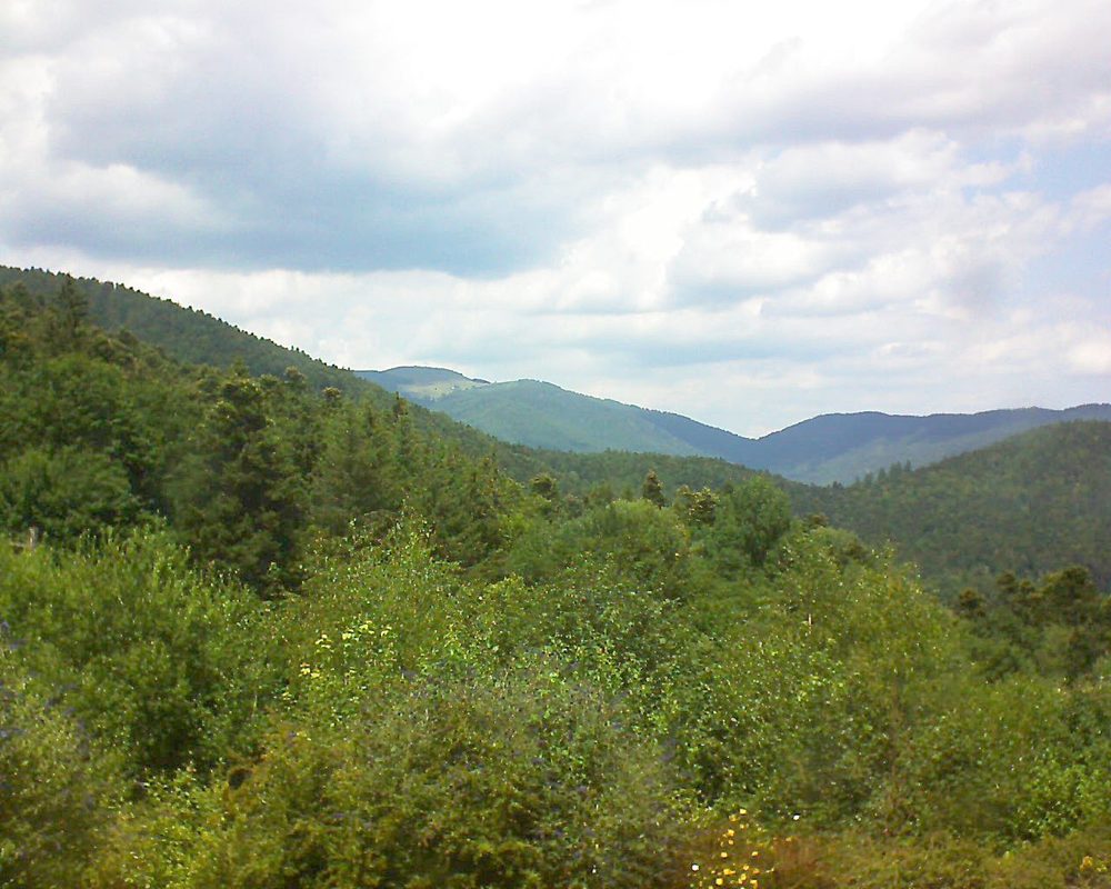 Le petit ballon vu depuis le Domaine Langmatt à Murbach le 13.07.2018 à 14:00 Le petit ballon (Alsace, Vosges) le 13.07.2018 à 14:00