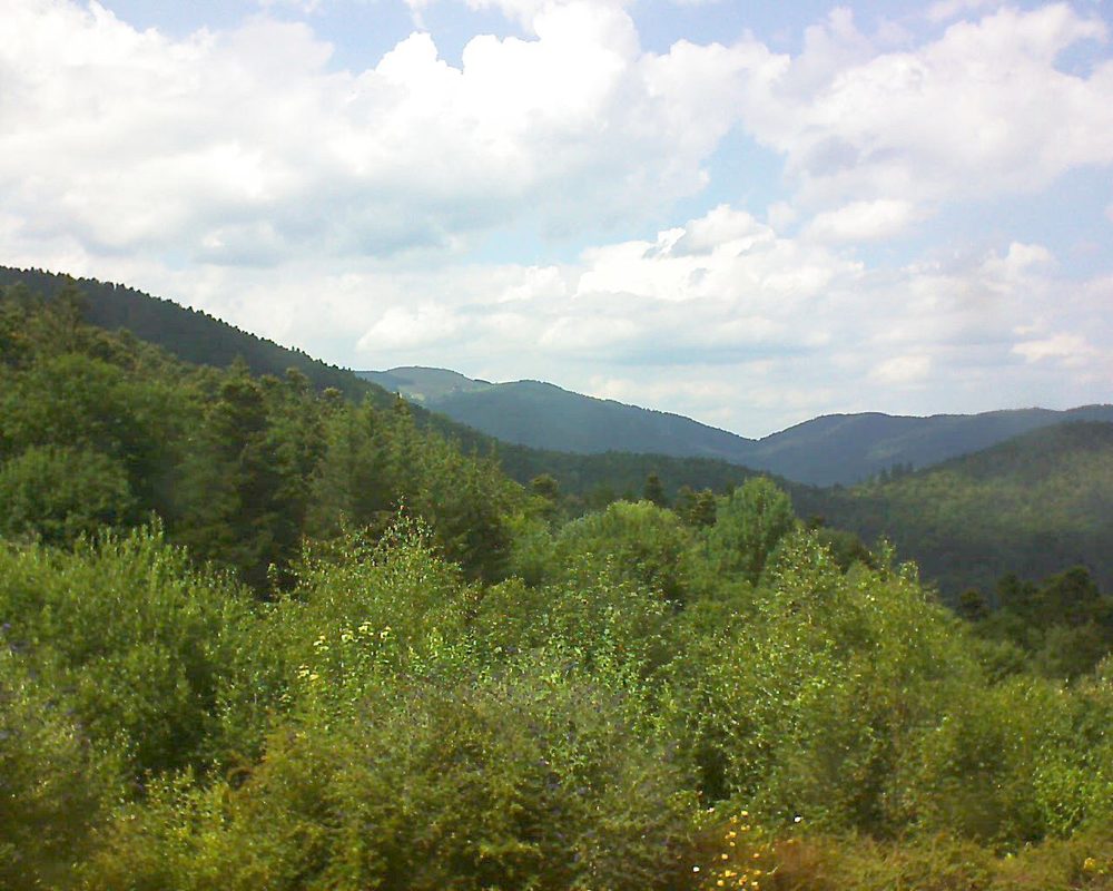 Le petit ballon vu depuis le Domaine Langmatt à Murbach le 13.07.2018 à 15:45 Le petit ballon (Alsace, Vosges) le 13.07.2018 à 15:45