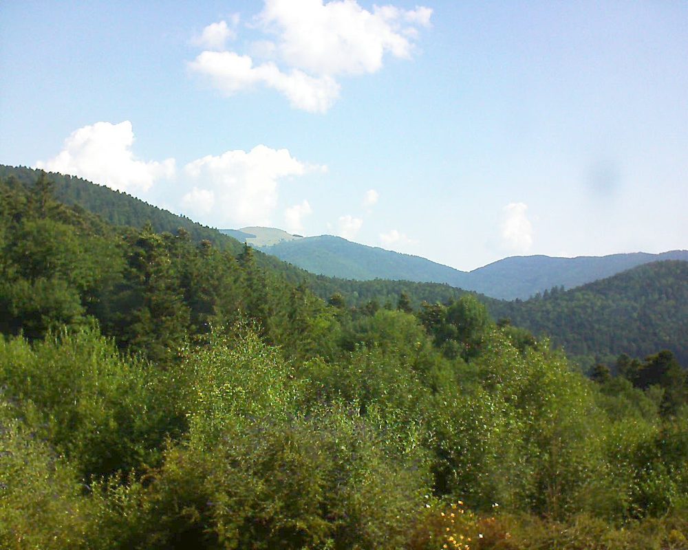 Le petit ballon vu depuis le Domaine Langmatt à Murbach le 14.07.2018 à 09:45 Le petit ballon (Alsace, Vosges) le 14.07.2018 à 09:45
