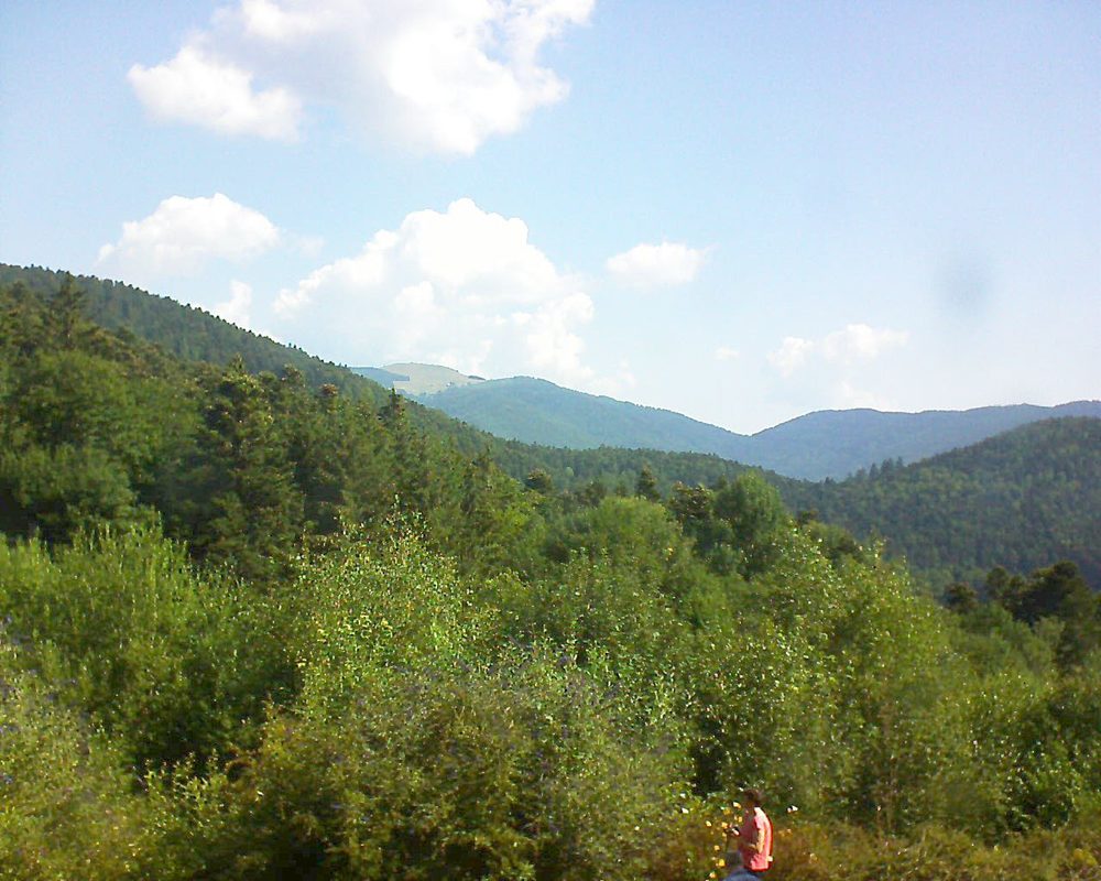 Le petit ballon vu depuis le Domaine Langmatt à Murbach le 14.07.2018 à 10:00 Le petit ballon (Alsace, Vosges) le 14.07.2018 à 10:00