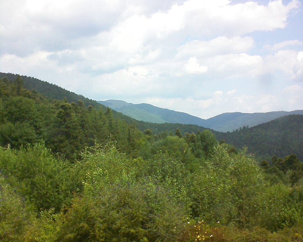 Le petit ballon vu depuis le Domaine Langmatt à Murbach le 14.07.2018 à 12:00 Le petit ballon (Alsace, Vosges) le 14.07.2018 à 12:00
