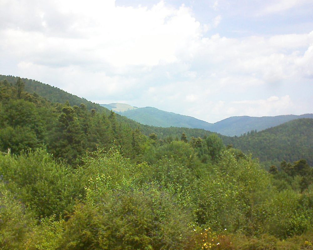 Le petit ballon vu depuis le Domaine Langmatt à Murbach le 14.07.2018 à 12:15 Le petit ballon (Alsace, Vosges) le 14.07.2018 à 12:15