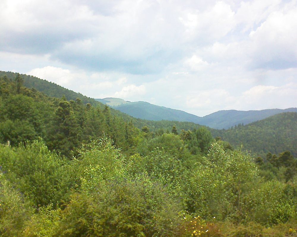Le petit ballon vu depuis le Domaine Langmatt à Murbach le 14.07.2018 à 12:30 Le petit ballon (Alsace, Vosges) le 14.07.2018 à 12:30