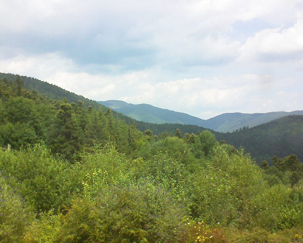 Le petit ballon vu depuis le Domaine Langmatt à Murbach le 14.07.2018 à 12:45 Le petit ballon (Alsace, Vosges) le 14.07.2018 à 12:45