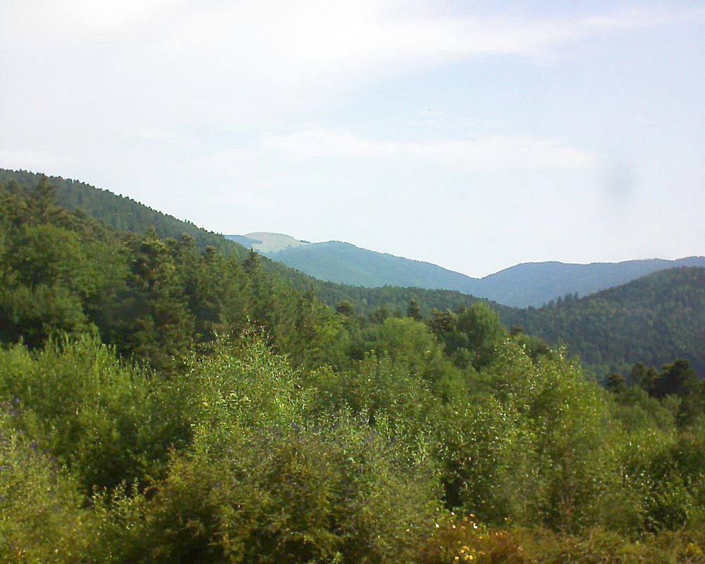 Le petit ballon vu depuis le Domaine Langmatt à Murbach le 15.07.2018 à 09:45 Le petit ballon (Alsace, Vosges) le 15.07.2018 à 09:45