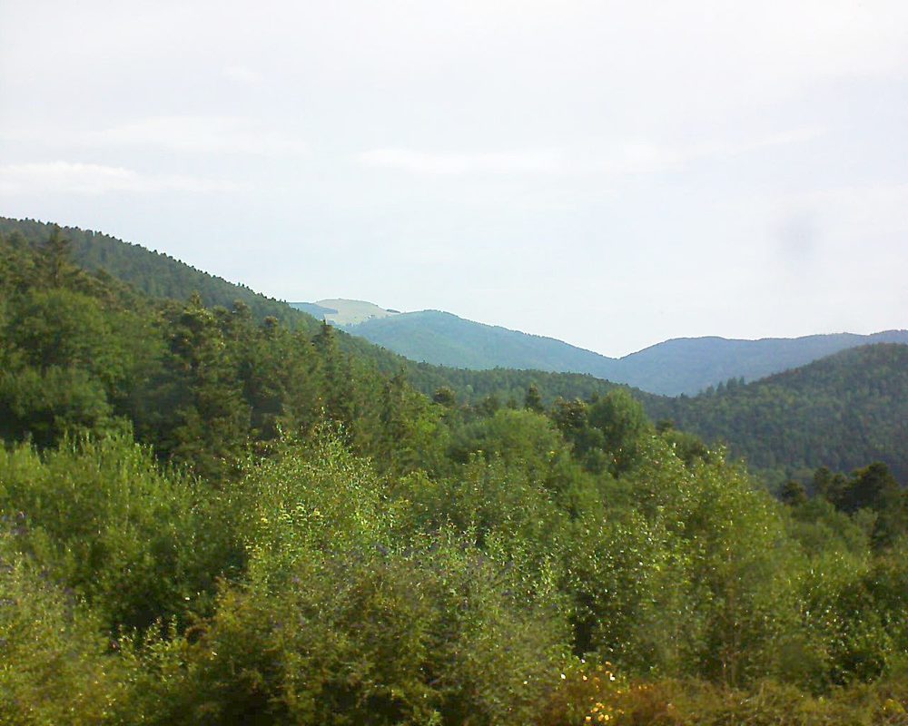 Le petit ballon vu depuis le Domaine Langmatt à Murbach le 15.07.2018 à 10:00 Le petit ballon (Alsace, Vosges) le 15.07.2018 à 10:00
