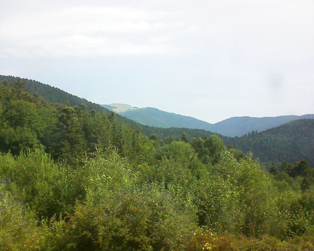 Le petit ballon vu depuis le Domaine Langmatt à Murbach le 15.07.2018 à 10:15 Le petit ballon (Alsace, Vosges) le 15.07.2018 à 10:15
