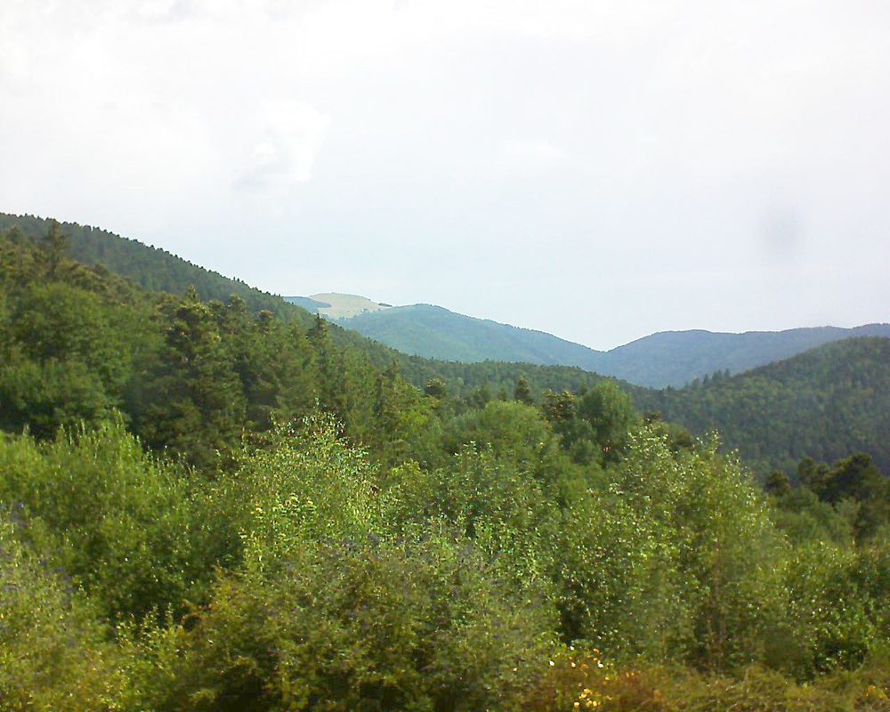 Le petit ballon vu depuis le Domaine Langmatt à Murbach le 15.07.2018 à 10:45 Le petit ballon (Alsace, Vosges) le 15.07.2018 à 10:45