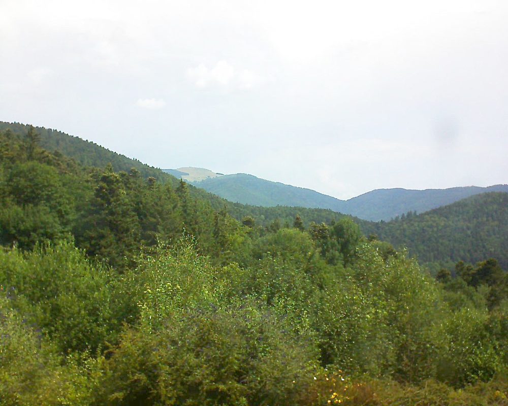 Le petit ballon vu depuis le Domaine Langmatt à Murbach le 15.07.2018 à 11:15 Le petit ballon (Alsace, Vosges) le 15.07.2018 à 11:15