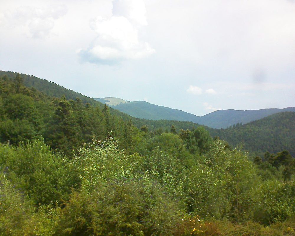 Le petit ballon vu depuis le Domaine Langmatt à Murbach le 15.07.2018 à 11:30 Le petit ballon (Alsace, Vosges) le 15.07.2018 à 11:30