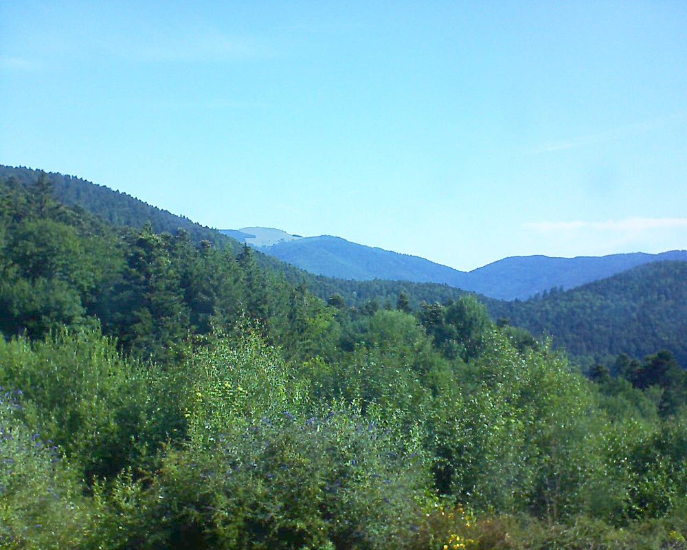 Le petit ballon vu depuis le Domaine Langmatt à Murbach le 16.07.2018 à 10:00 Le petit ballon (Alsace, Vosges) le 16.07.2018 à 10:00