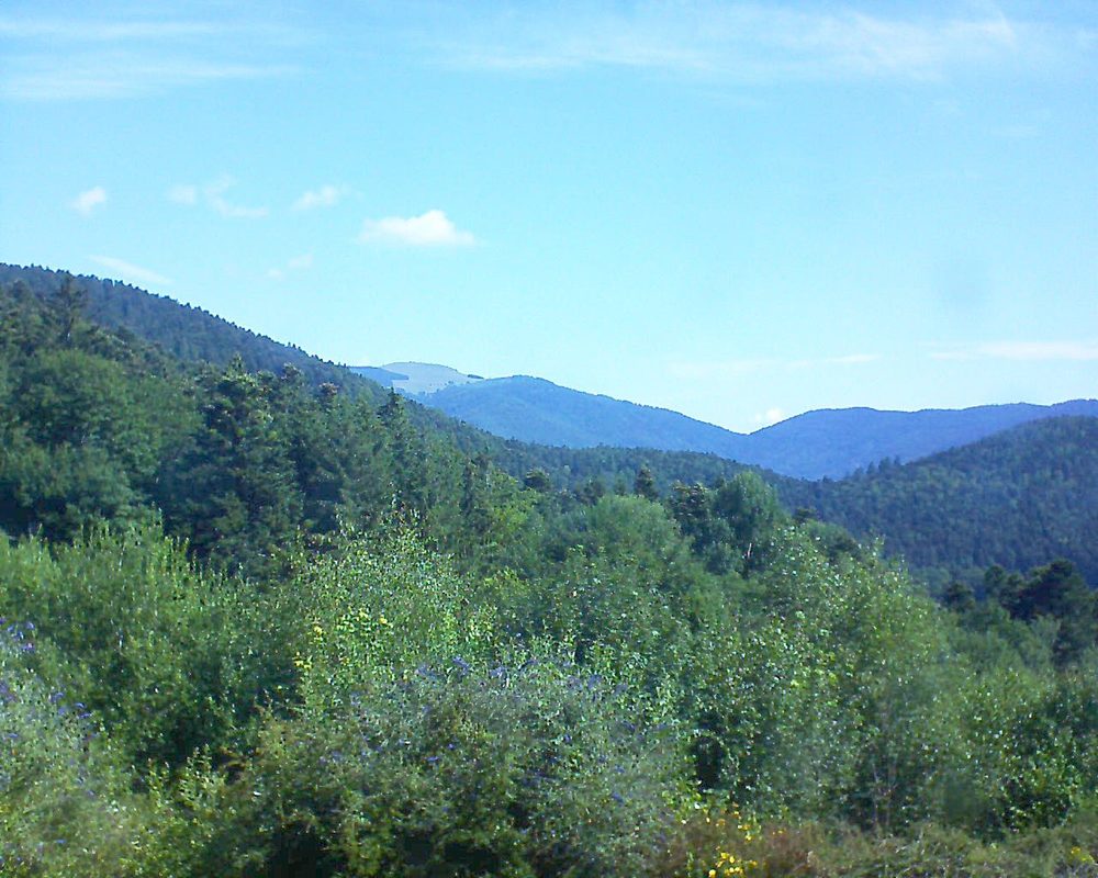 Le petit ballon vu depuis le Domaine Langmatt à Murbach le 16.07.2018 à 10:30 Le petit ballon (Alsace, Vosges) le 16.07.2018 à 10:30