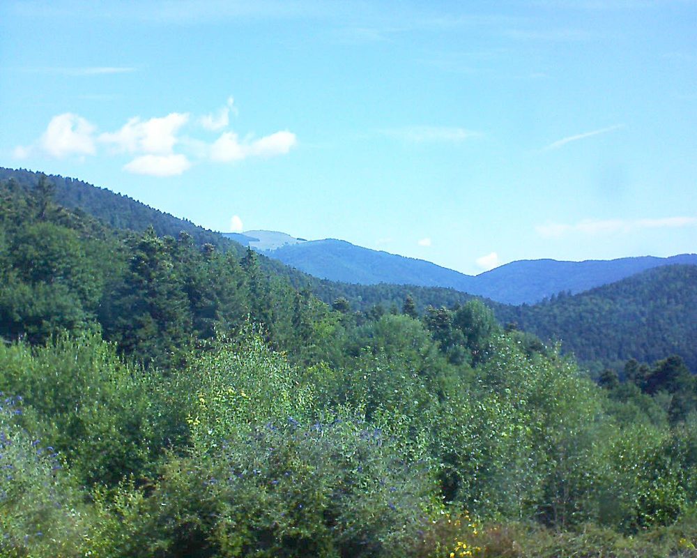 Le petit ballon vu depuis le Domaine Langmatt à Murbach le 16.07.2018 à 10:45 Le petit ballon (Alsace, Vosges) le 16.07.2018 à 10:45