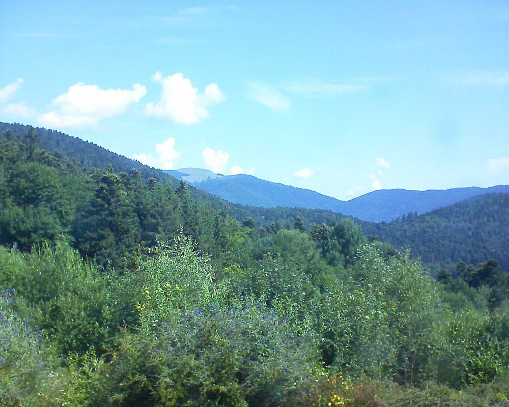 Le petit ballon vu depuis le Domaine Langmatt à Murbach le 16.07.2018 à 11:00 Le petit ballon (Alsace, Vosges) le 16.07.2018 à 11:00
