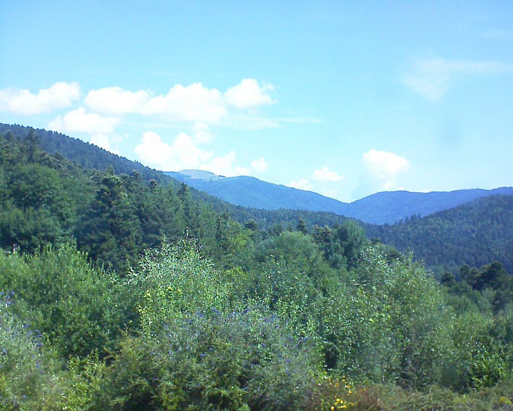 Le petit ballon vu depuis le Domaine Langmatt à Murbach le 16.07.2018 à 11:15 Le petit ballon (Alsace, Vosges) le 16.07.2018 à 11:15