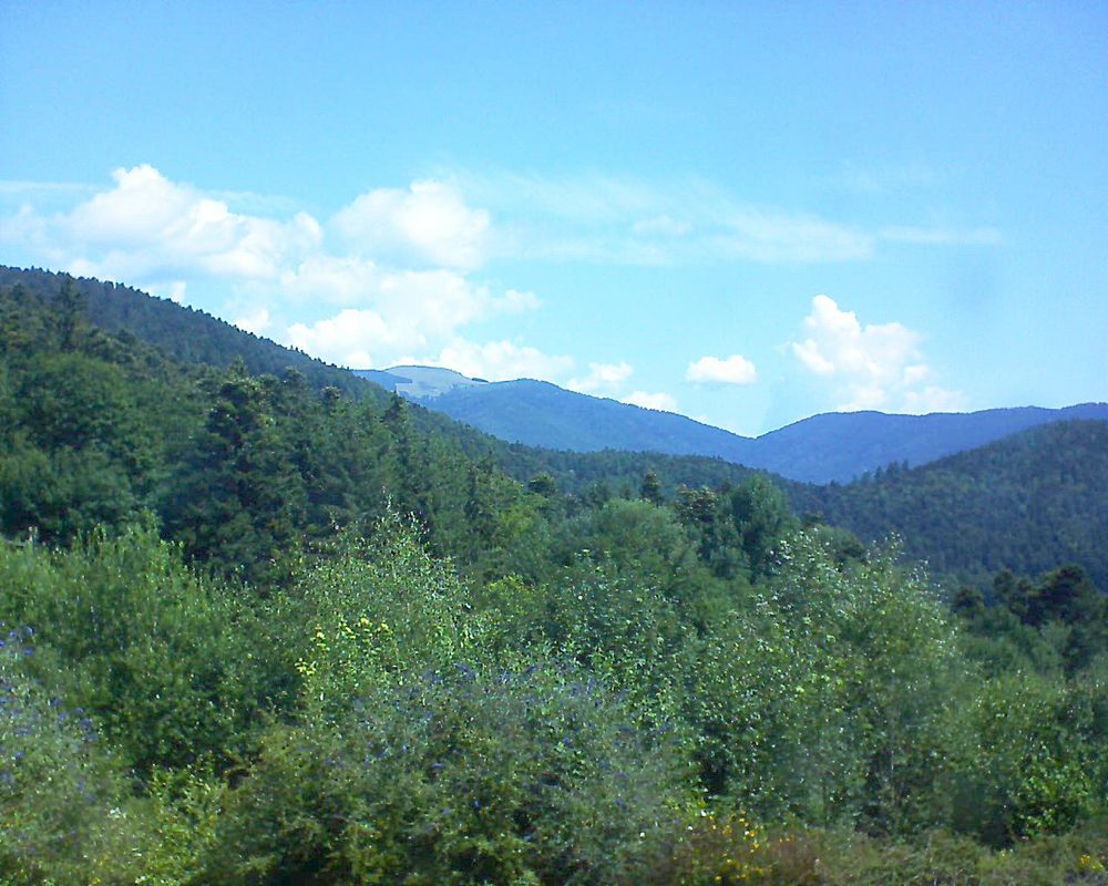 Le petit ballon vu depuis le Domaine Langmatt à Murbach le 16.07.2018 à 11:30 Le petit ballon (Alsace, Vosges) le 16.07.2018 à 11:30