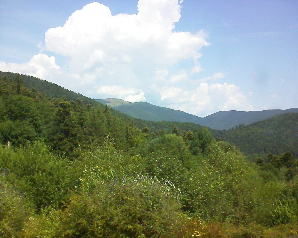 Le petit ballon vu depuis le Domaine Langmatt à Murbach le 16.07.2018 à 12:30 Le petit ballon (Alsace, Vosges) le 16.07.2018 à 12:30