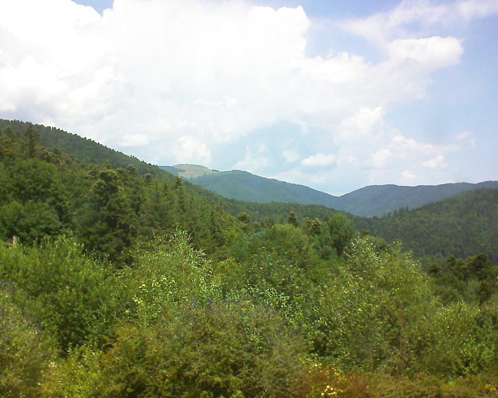 Le petit ballon vu depuis le Domaine Langmatt à Murbach le 16.07.2018 à 13:00 Le petit ballon (Alsace, Vosges) le 16.07.2018 à 13:00