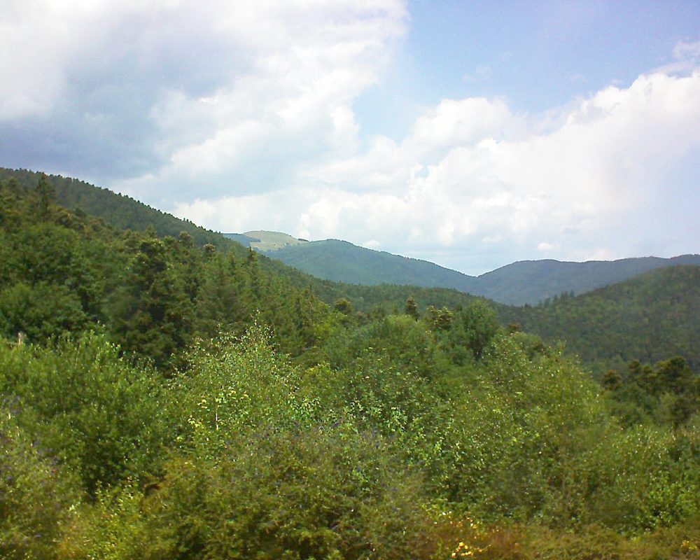 Le petit ballon vu depuis le Domaine Langmatt à Murbach le 16.07.2018 à 13:15 Le petit ballon (Alsace, Vosges) le 16.07.2018 à 13:15